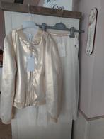 Feest,communie,lentefeest, Ophalen, Setje