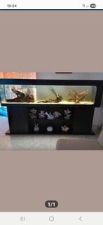 Aquarium, Dieren en Toebehoren, Ophalen