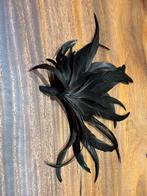 Plumet de Shako, Collections, Enlèvement ou Envoi