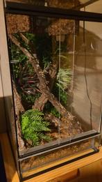 Terrarium volledig ingerichte, Dieren en Toebehoren, Ophalen