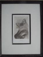 Walter Brems  Ets  Oog + Vlinder, Envoi