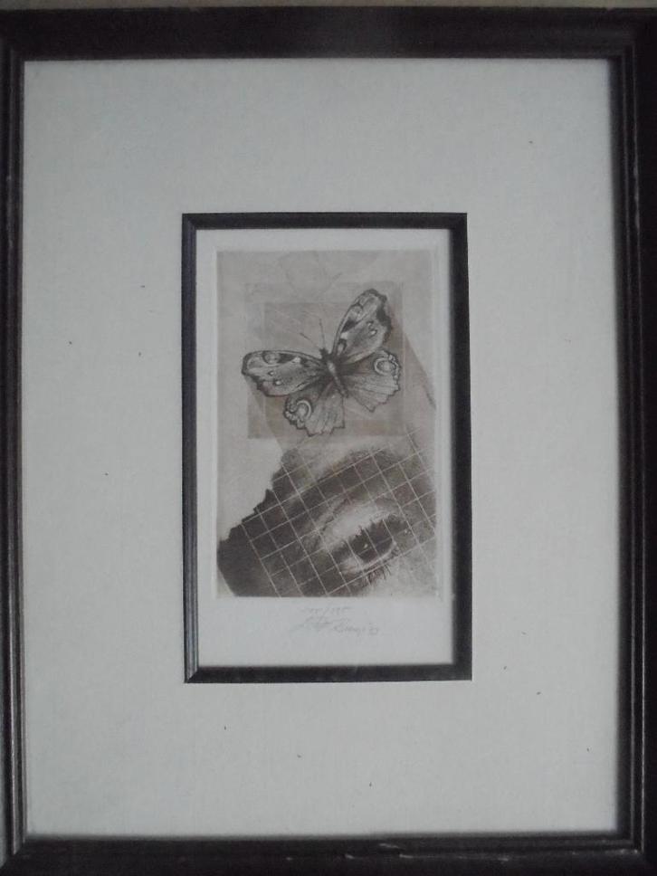 Walter Brems  Ets  Oog + Vlinder, Antiek en Kunst, Kunst | Etsen en Gravures, Verzenden