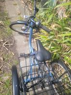 Driewieler, Vélos & Vélomoteurs, Enlèvement, Utilisé, Eco trike