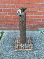 Kleine krabpaal voor katten, Enlèvement