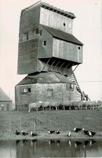 Bikschote - Blauwe Molen, Envoi, 1980 à nos jours, Non affranchie, Flandre Occidentale