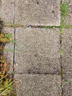 silex tegels 50x50, Tuin en Terras, Tegels en Klinkers, Ophalen, Gebruikt