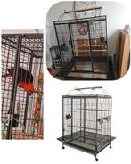Cage perroquet, Dieren en Toebehoren, Ophalen, Nieuw, Vogelkooi
