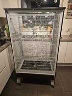 Grande cage à oiseaux/cage à perruche/cage à rongeurs, Enlèvement, Comme neuf