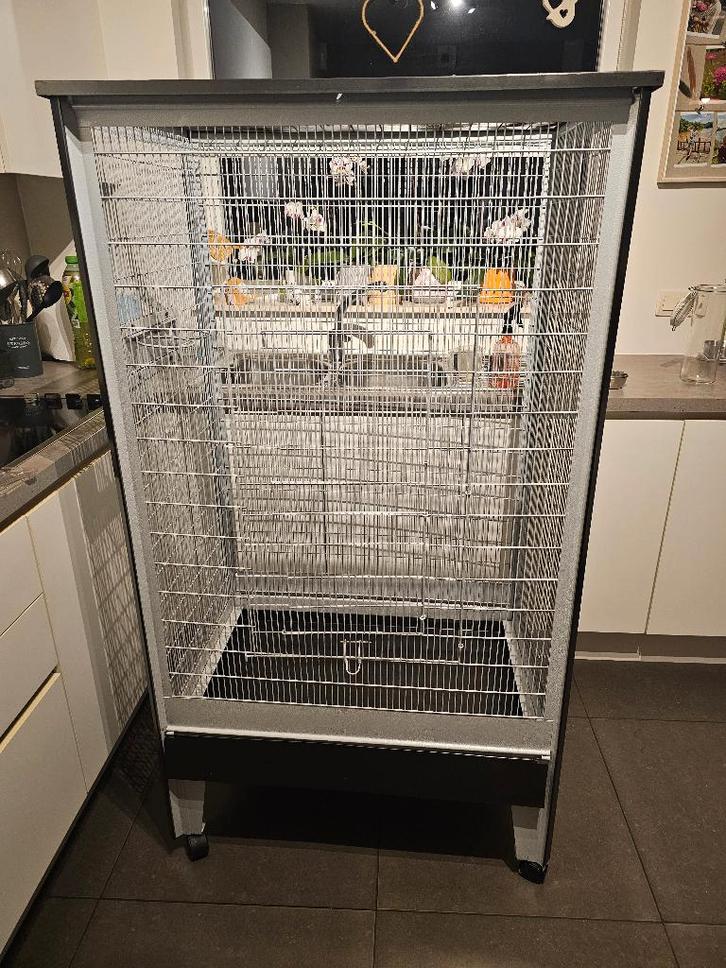 Grote vogelkooi/parkieten kooi/ knaagdier kooi, Dieren en Toebehoren, Overige Dieren-accessoires, Zo goed als nieuw, Ophalen