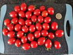 5 graines de tomates cerises Trixi, Envoi, Printemps, Plein soleil, Graine