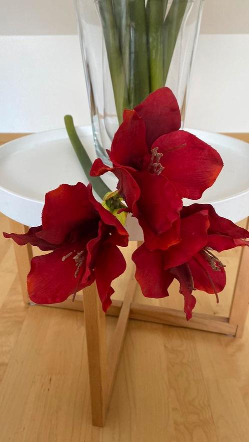 Lot 10 fleurs amaryllis comme neuves, Huis en Inrichting, Woonaccessoires | Kunstplanten en Kunstbloemen, Zo goed als nieuw, Ophalen
