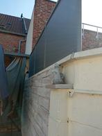 brise vue, Jardin & Terrasse, Enlèvement, Comme neuf