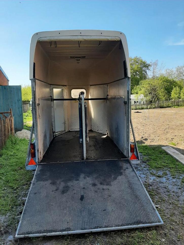 Dringend weg: Trailer voor twee paarden, Animaux & Accessoires, Chevaux & Poneys | Semi-remorques & Remorques, Utilisé, Enlèvement