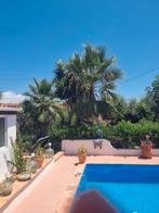 Landelijke finca inlands cartagena te koop, Vakantie, Vakantiehuizen | Spanje, Tuin
