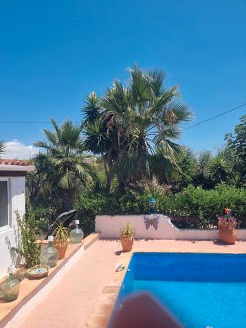 Landelijke finca inlands cartagena te koop, Piscine