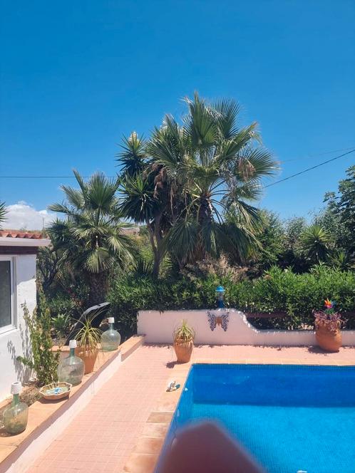 Landelijke finca inlands cartagena te koop, Vakantie, Vakantiehuizen | Spanje, Tuin, Zwembad