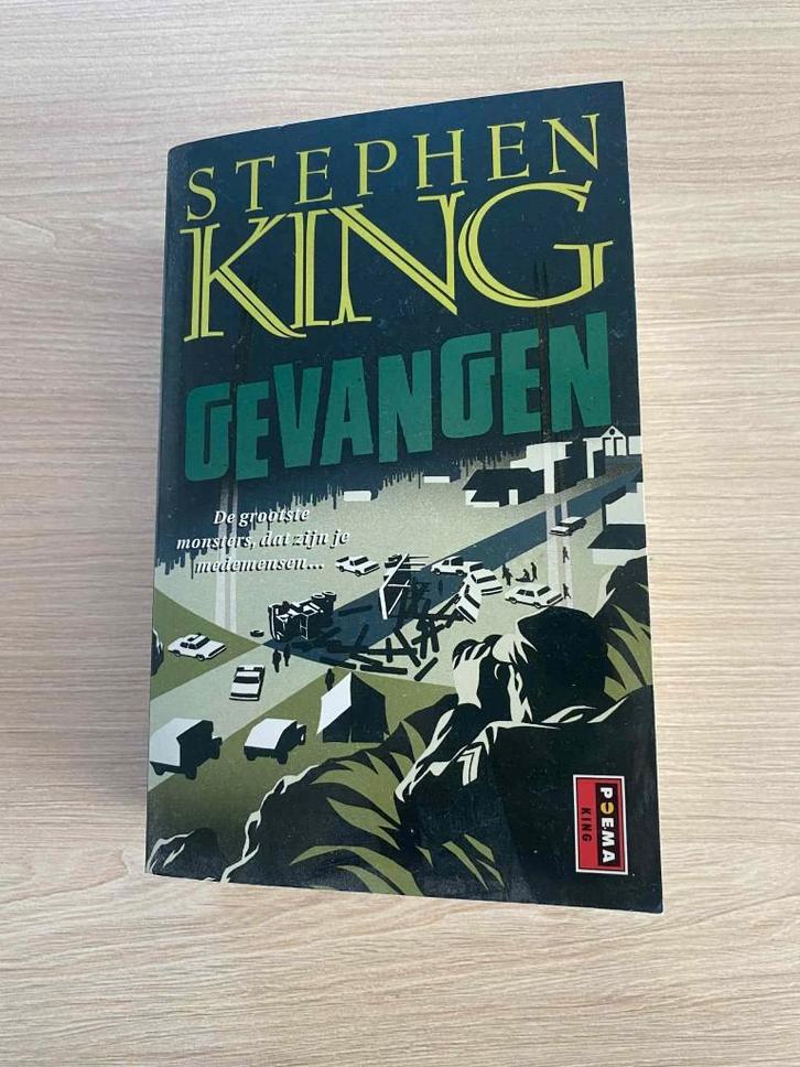 Boek - Stephen King - Gevangen, Livres, Thrillers, Neuf, Enlèvement ou Envoi