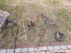 Paardengetuig, Ophalen