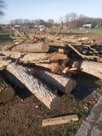 BRANDHOUT TE KOOP, 6 m³ of meer, Ophalen, Overige houtsoorten, Stammen