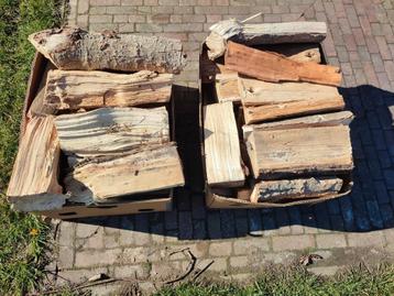 brandhout beschikbaar voor biedingen