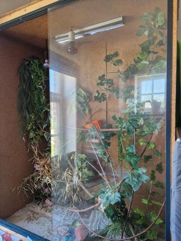 Terrarium, Enlèvement, Comme neuf