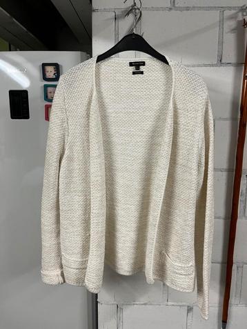 gilet massimo dutti beschikbaar voor biedingen