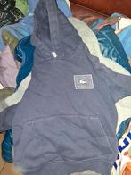 Pull lacoste 6-7ans 116, Ophalen