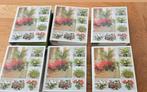 Kamerplanten 6 mappen, Boeken, Ophalen, Zo goed als nieuw
