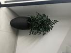 Kunstplant met pot, Huis en Inrichting, Ophalen, Binnen