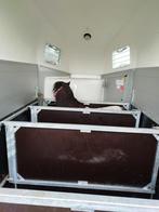 Paardentrailer te koop zo goed als nieuw!!, Dieren en Toebehoren, Ophalen