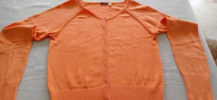 Oranje truitje CKS / maat 164, Kinderen en Baby's, Kinderkleding | Maat 164, Zo goed als nieuw, Meisje, Trui of Vest, Ophalen of Verzenden