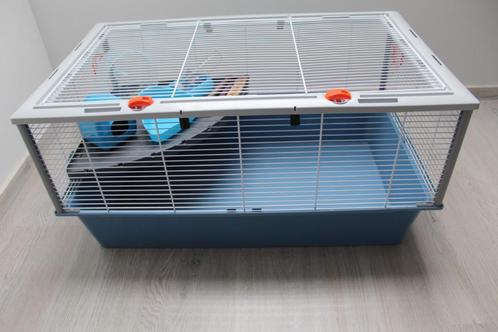 Hamsterkooi, Dieren en Toebehoren, Knaagdieren en Konijnen | Hokken en Kooien, Gebruikt, Kooi, Minder dan 60 cm, 75 tot 110 cm