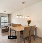 Eettafel, Huis en Inrichting, Tafels | Eettafels, Ophalen, Zo goed als nieuw, Vijf personen of meer, Rechthoekig