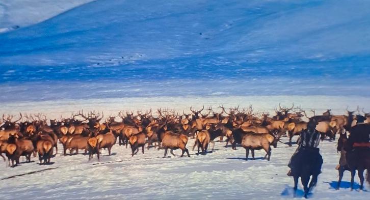 Livraison express immédiat, Autos : Divers, Modes d'emploi & Notices d'utilisation