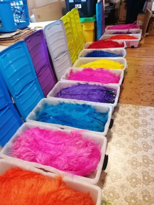GEKLEURDE VEREN / PLUIMEN, Hobby en Vrije tijd, Kostuums, Theaterbenodigdheden en LARP, Ophalen