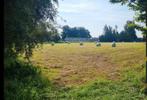 Midibalen hooi, Dieren en Toebehoren, Ophalen