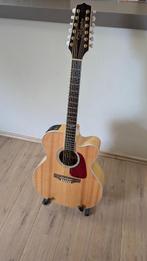 Takamine 12-snarige semi-akoestische gitaar, Muziek en Instrumenten, Ophalen, Gebruikt, Overige typen, 12-snarig