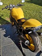 1995 ducati monster 900, Motoren, Motoren | Oldtimers