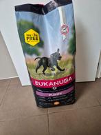 Eukanuba puppy, Ophalen