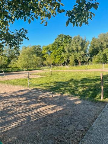 Paddock paradise, Mise à l'étable, 1 cheval ou poney