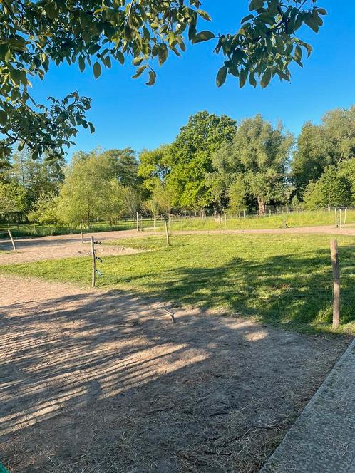 Paddock paradise, Dieren en Toebehoren, Stalling en Weidegang, Stalling, 1 paard of pony