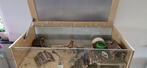 *** GRATIS *** Hamsterkooi met dwerghamster, Dieren en Toebehoren, Ophalen of Verzenden, Hamster