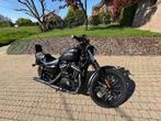 Harley-Davidson Sportster IRON 883 1200 Kit, Motoren, Motoren | Harley-Davidson, 2 cilinders, Chopper, Particulier, Meer dan 35 kW