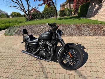 Harley-Davidson Sportster IRON 883 1200 Kit, Motoren, Motoren | Harley-Davidson, 2 cilinders, Chopper, Particulier, Meer dan 35 kW