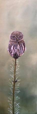 Kunsthandel Gennep - "Poker Face", Antiek en Kunst, Ophalen of Verzenden