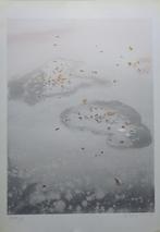 HUGO HEYRMAN / ZWARTE PANTER / KLEURZEEFDRUK / 63x44cm SIG, Ophalen of Verzenden