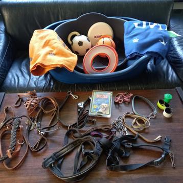 Paniers,nourriture, laisses,harnais, muselières, Frisbees,fi beschikbaar voor biedingen