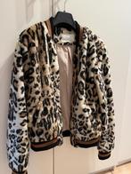 Jas Vila, Overige kleuren, Vila, Zo goed als nieuw, Ophalen