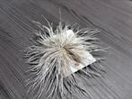 Nieuwe broche beigekleurig met veren in Perfecte Nieuwe st, Ophalen of Verzenden, Nieuw, Beige, Overige materialen