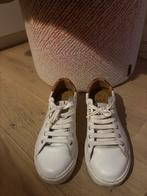 Witte sneakers MAA maat 38, amper gedragen, Ophalen, Zo goed als nieuw